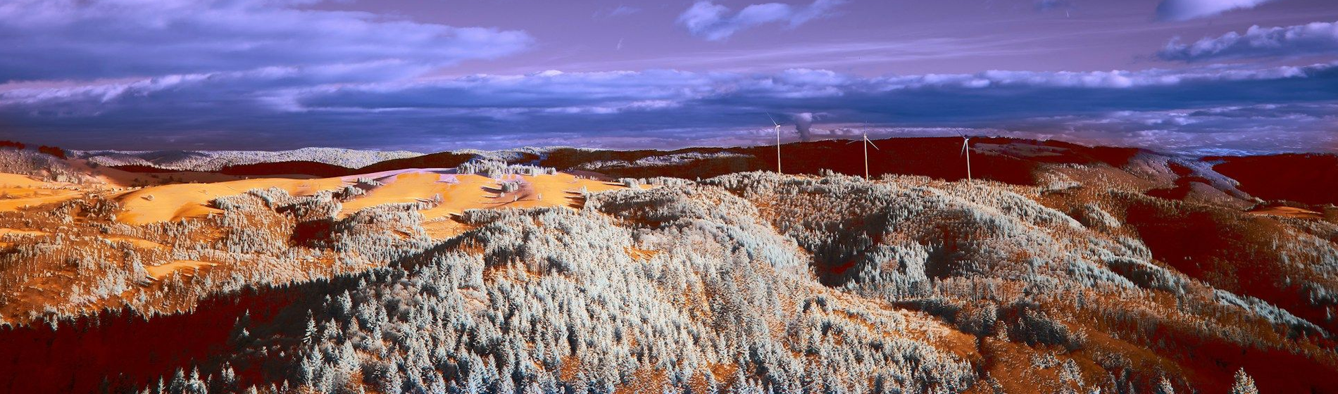 Terrae Energy Resources Holdings LLC 