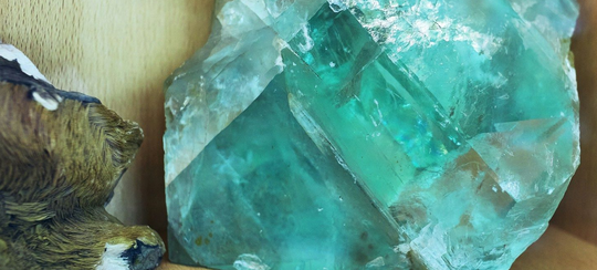 Terrae Energy Resources Holdings LLC 